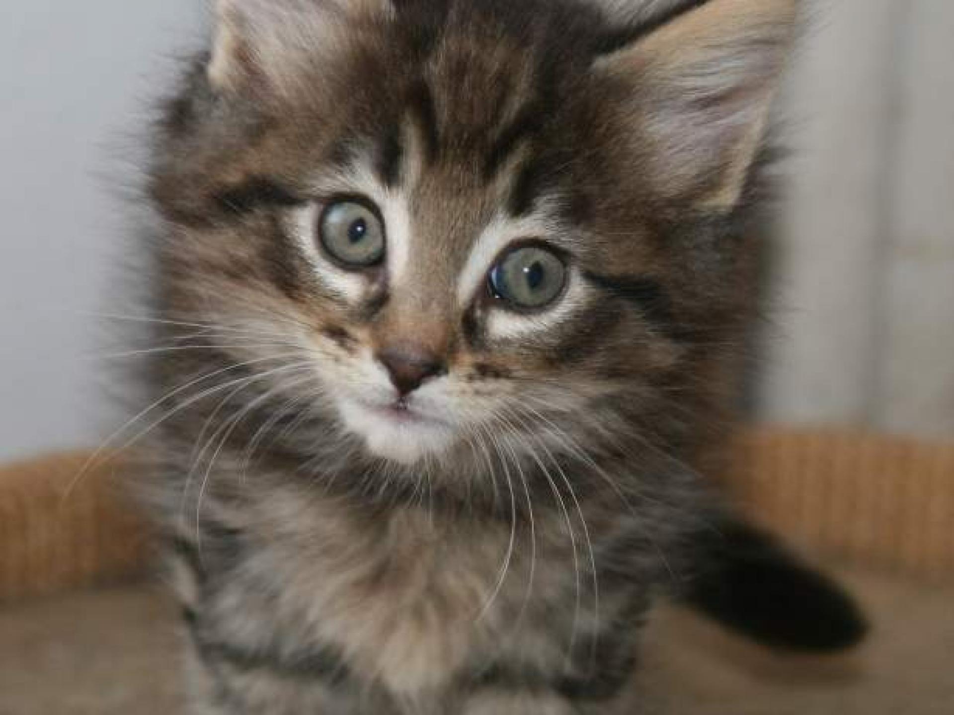 Revenda Nossas Marcas