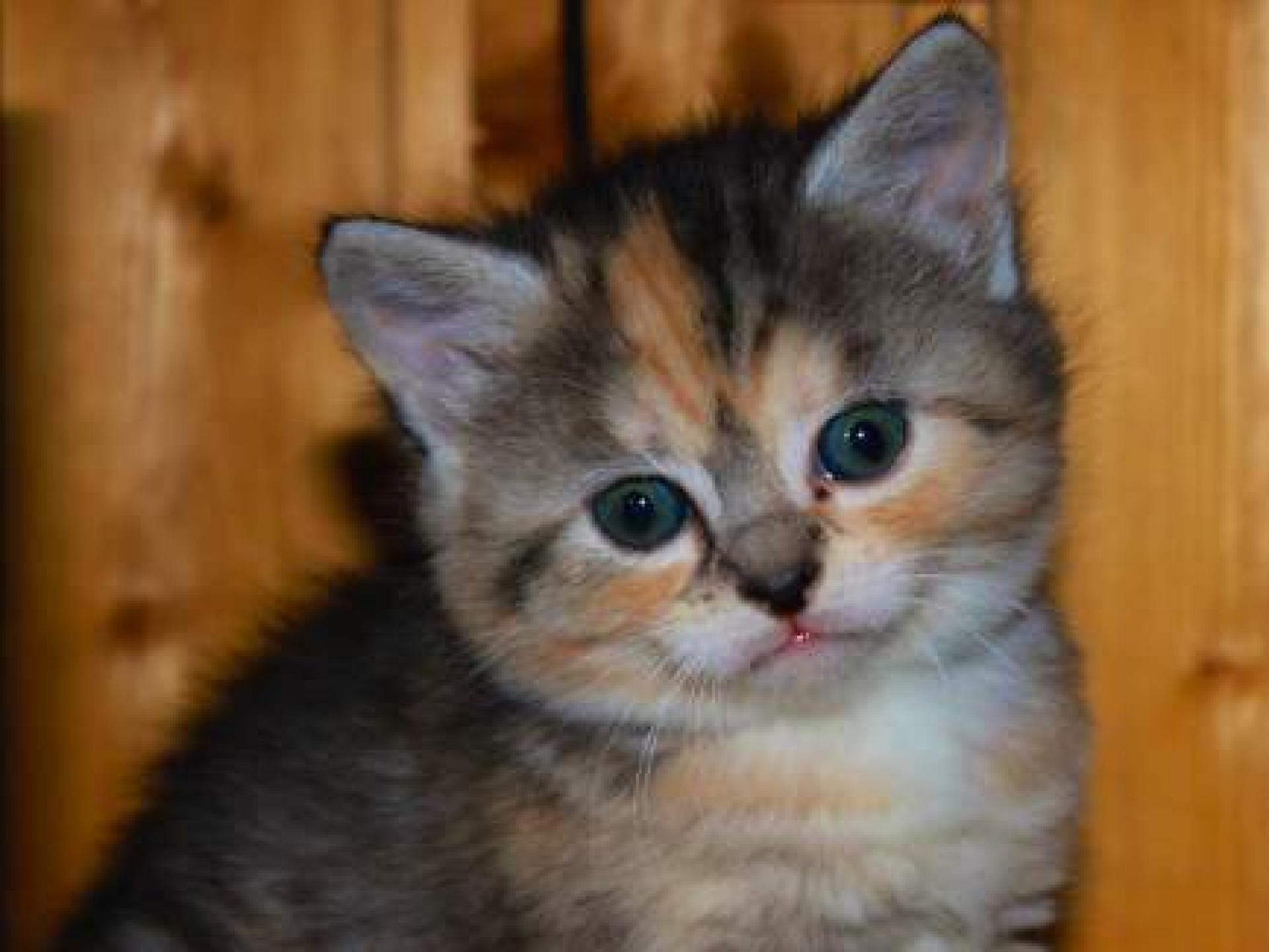 Revenda Nossas Marcas ES